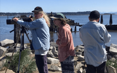 Heron and Eagle Foraging Monitoring in the K’omoks Estuary 2023